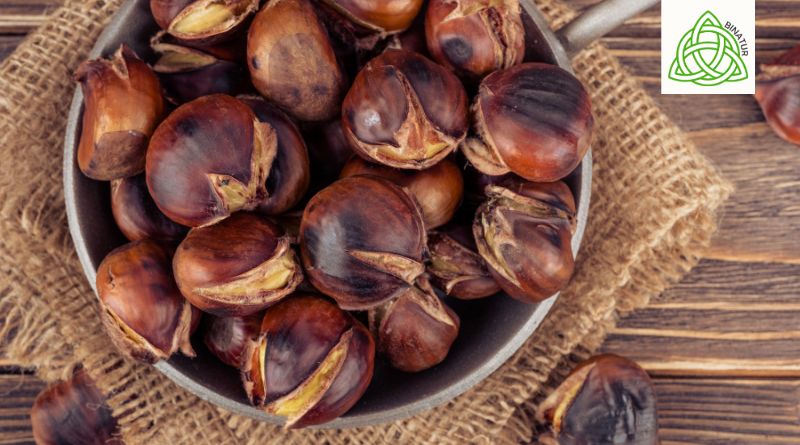 vacaciones en familia puente de diciembre, vacaciones con niños puente de diciembre, escapadas familiares puente de diciembre, escapadas con niños diciembre, puente de diciembre en familia, puente de diciembre con niños, actividades con niños en el puente de diciembre, turismo activo con niños puente de diciembre, casas rurales para familias puente de diciembre, vacaciones familiares en León puente de diciembre, vacaciones con niños en El Bierzo diciembre, puente de diciembre con niños en Galicia y El Bierzo