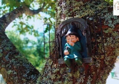 Aventuras y diversión para toda la familia