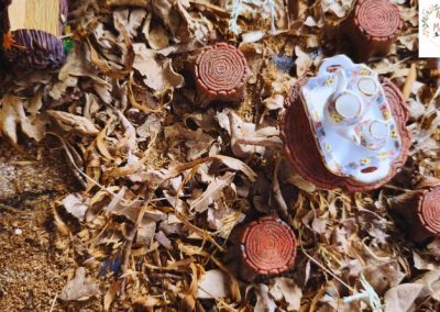 Descubriendo rincones mágicos en la Aldea El Arbedal