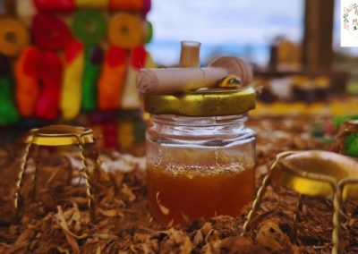 Excursiones familiares en la naturaleza de El Bierzo