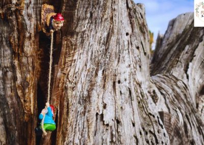 Planes originales para familias en El Bierzo