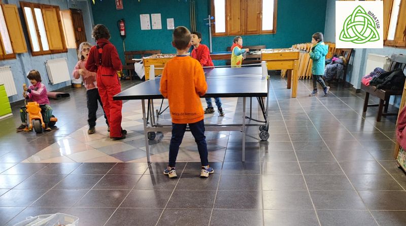 tenis-de-mesa-nuevas-amistades-en-vacaciones-familiares